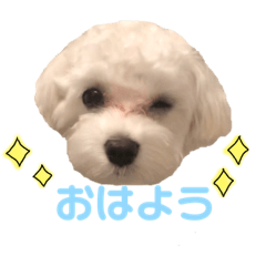 taro_maru