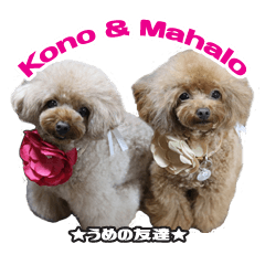 Ume's Friends[Kono&Maharo]