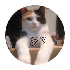 MIZUKI_20190210232624