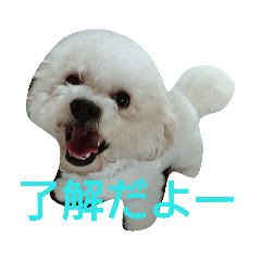 yukko_20190209160257