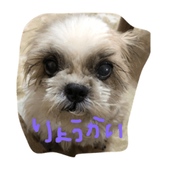 hiyori_20190209202638