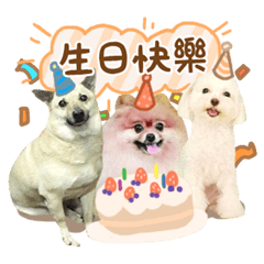 薇安妮可愛日常