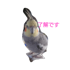 chiro_20190211124427