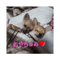 king_20190211122259