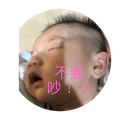波波小包子