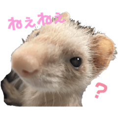 moco_20190206120503