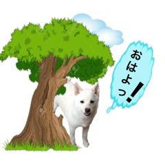 BUBU_20190206123229