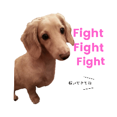 marina_20190206165150