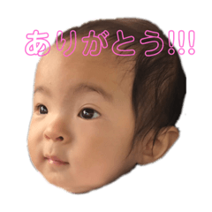 YUMAMA_20190206145400