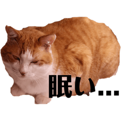 asuka_20190207002745