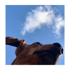 hikari_20190206235513