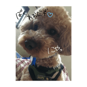 reo_20190206203754