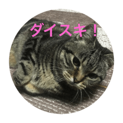 Mu_20190209013332