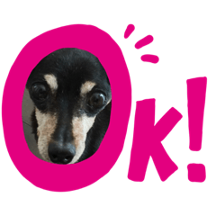 Saori_20190207104558