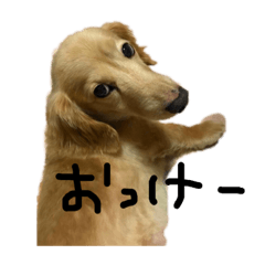 KANAKO_20190206145556