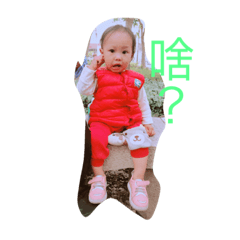 芳芳的孩子圈
