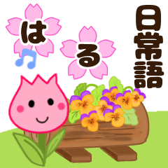 honwaka daily / spring