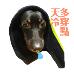 米克斯 樂&茶