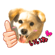 chinmi_20190113224655