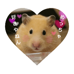 It is a stamp of kinkuma hamster mimosa.