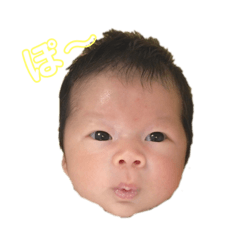 sakustamp1.13
