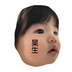 mayumi_20190206140638