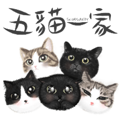 5catsdaily / common expressions