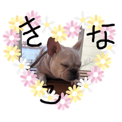 KINAKO_20190210153711