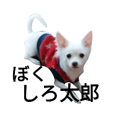 haruna_20190210013527