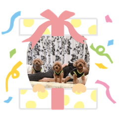 Arisa_20190207164922