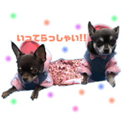 aoi_20190207231212