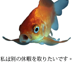 金魚の愛金魚-5-日本語