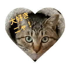 Joyce_20190114231742