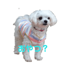fuu_20190131093755