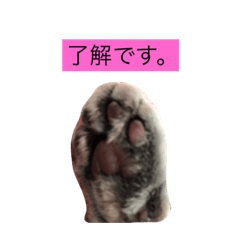 yossy_20190201211938