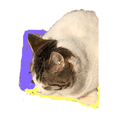 G_20190127150102