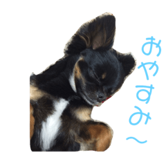 hikari_20190123134107