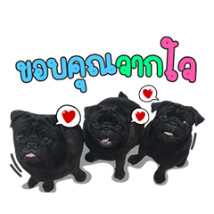 Lovepug Padaw 1