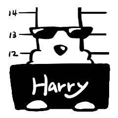 Mr.A dog_550 Harry