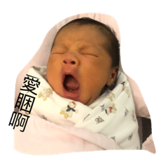 新寵兒 旺仔