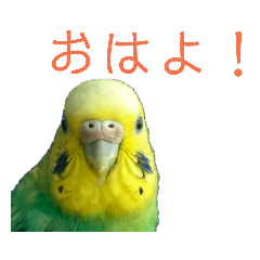 P!_20190118225256