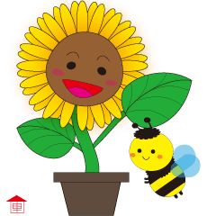 Sunflower with funny bees