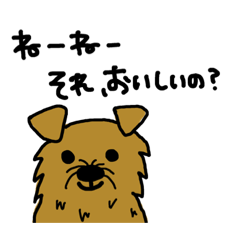 kuu_20190210171308