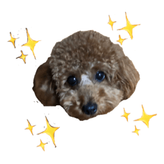 satoshi_20190211025851