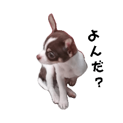 ran_20190210224150
