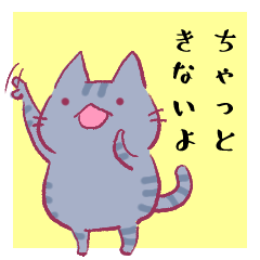 The Enshu-dialect Cat