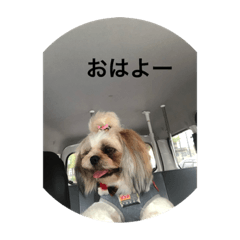 RAN_20190211192201