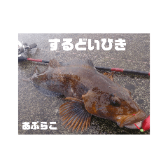 tsuchinocotaro_20190211172248