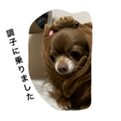 dog sticker Nate