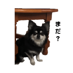 PON_20190211181824